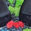 wedding cake 3